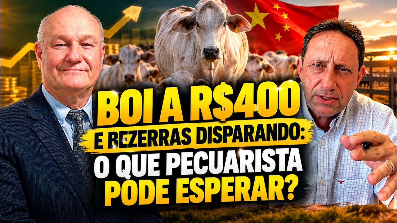 Boi a R$400 e bezerras disparando: o que pecuarista pode esperar?