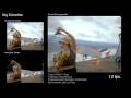 videos de mamut x3
