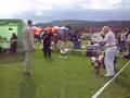 DOG SHOW DRAMMEN 17-08-2008