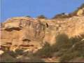 Wild Jordan Middle East Eco-Tourism + Travel