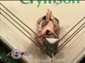 Shooto - Yusuke Endo vs. Takashi Nakakura RD 2 (11/8/07)