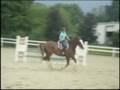 Stepping Stone Farm (Includes Refusals)