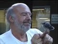 Patrick Lockyer befriends a baby Blue Jay Edit Patrick Lockyer befriends a baby Blue Jay Edit