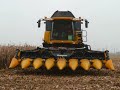 Moisson ma�s 2008