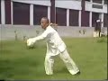 Wang Pei Sheng Taiji Wang Pei Sheng Taiji