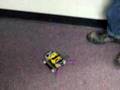 Team Dego Bugbot