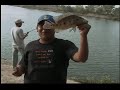 PESCA LOGRADA PESCA LOGRADA