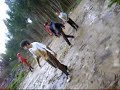 Porcos na lama em óbidos