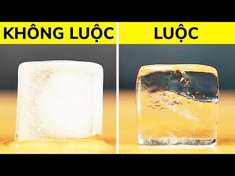 25 CUỘC SỐNG CHO BỮA TIỆC TUYỆT NHẤT TRONG NĂM