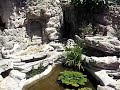 A spasso nei giardini Hanbury, Ventimiglia, Liguria
