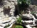 A spasso nei giardini Hanbury, Ventimiglia, Liguria