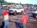 RUSTITRIAL MATURIN
