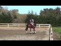 Jackson.wmv