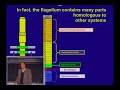 God, Darwin, and Design 3 - Ken Miller