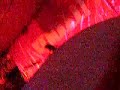 butterfingers-merpati sejoli (planet hollywood)