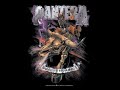 Pantera