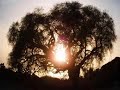 taroudant