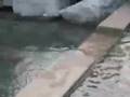 Flash Tour of Lexington KY - YouTube