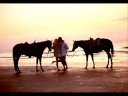 Romantic song by Moein Molaghatwith some pictures