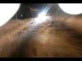 Slee achter auto door budel [part 2]