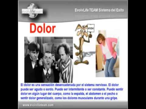 betarraga -