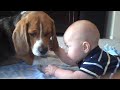 It's Doggy Time