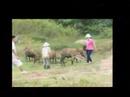 Doan tu thien Linh Quang @ Daklak - Part I