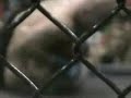 Bryan Edwards vs Shane Ott (MMA) Bryan Edwards vs Shane Ott (MMA)