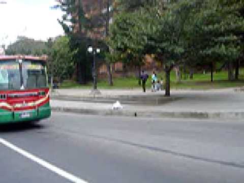 buseta