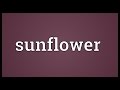 View 23 Names That Mean Sunflower