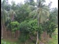 LunaSol - Dawn - free flv video @ vwatch.tv