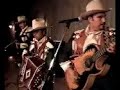 FIELES DE TIJUANA(PICAME TARANTULA)