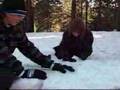 Snow Fun - Bratacus