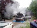 The stake died a probe ford!