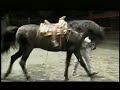 JOSE SANTIAGO EL MICHOACANO