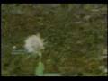 videos de 1#st Halo Montage-br l3g3ends-MLG