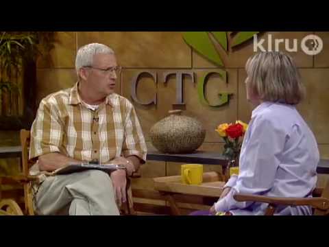 how to replant bearded irises