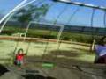 videos de Mario y chúle.3gp