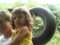 videos de GUI E SUA BOIA DE CAMINHAO NA BARRA DO CHAPÉU