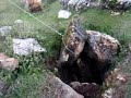 piedrolo.mp4 piedrolo.mp4