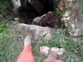 piedrolo.mp4