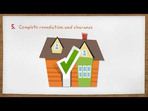 how to eliminate mold in a home