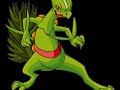A Tribute to Sceptile-It\