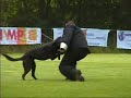 Keuring politiehond Mido eig Andre Luyken 2007