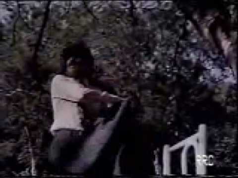 Raul Seixas - A Maça (1975)