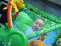 videos de Christmas and January09 081