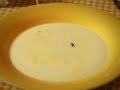 Minuscule Flys with spaghetti Minuscule Flys with spaghetti