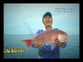 マダイ列島一つテンヤ バトル