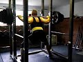 Josh 705 Squat
