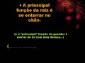 Perolas do ENEM 1